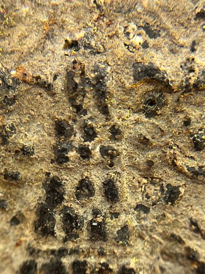 พระสมเด็จวัดระฆังพิมพ์ใหญ่เนื้อสีดำใบลาน หลัง ตราฉัตร ร.4(056) รูปที่ 15