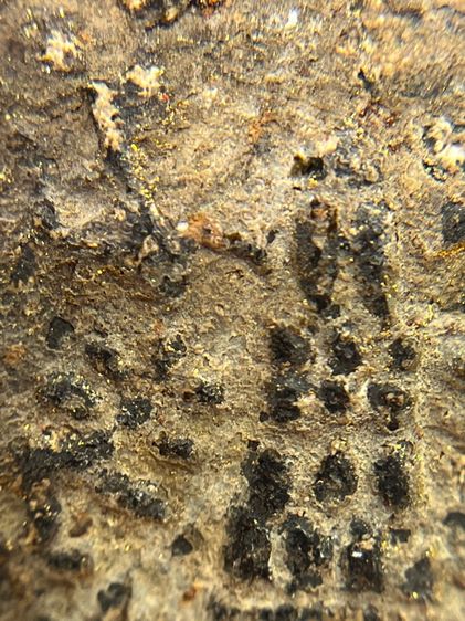 พระสมเด็จวัดระฆังพิมพ์ใหญ่เนื้อสีดำใบลาน หลัง ตราฉัตร ร.4(056) รูปที่ 13