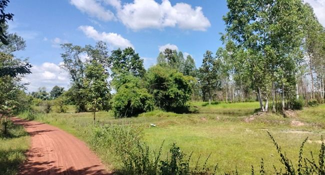 ขายที่ดินอุบลฯ 5 ไร่ แค่หลักแสนเท่านั้น