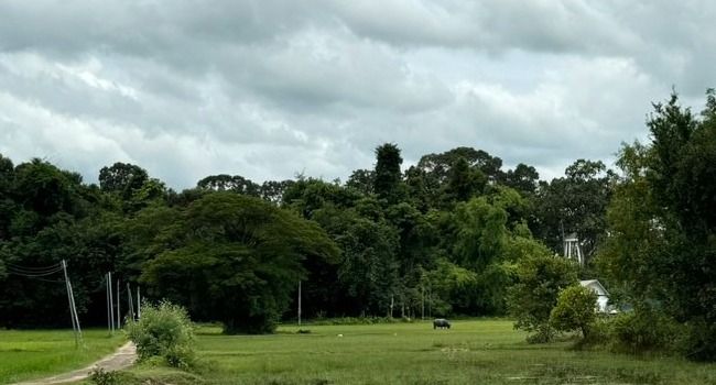 ขายที่ดินในเมืองศรีสะเกษสวยๆ แค่ล้านต้นๆ เท่านั้น  รูปที่ 3