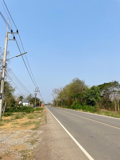 ที่ดิน233ตารางวา ดอกคำใต้ รูปที่ 2