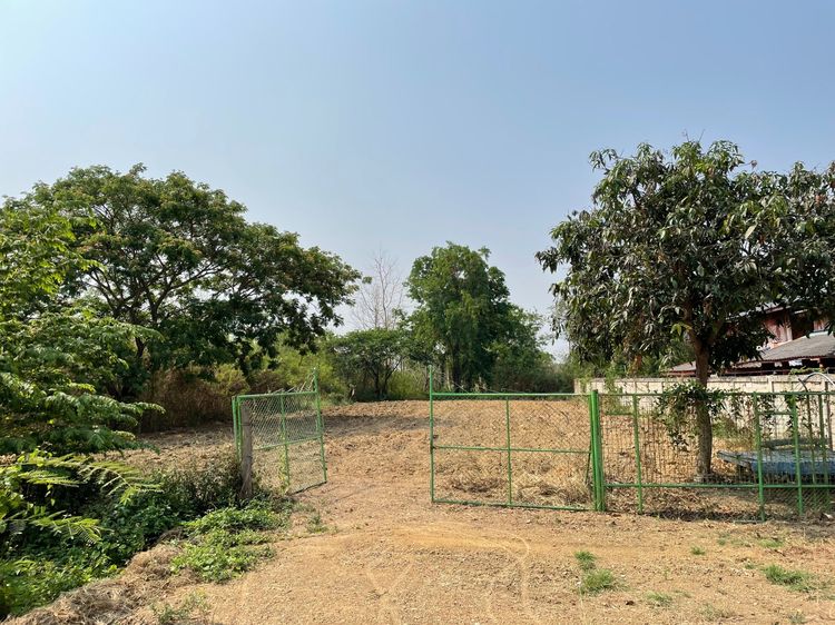 ที่ดิน233ตารางวา ดอกคำใต้ รูปที่ 3