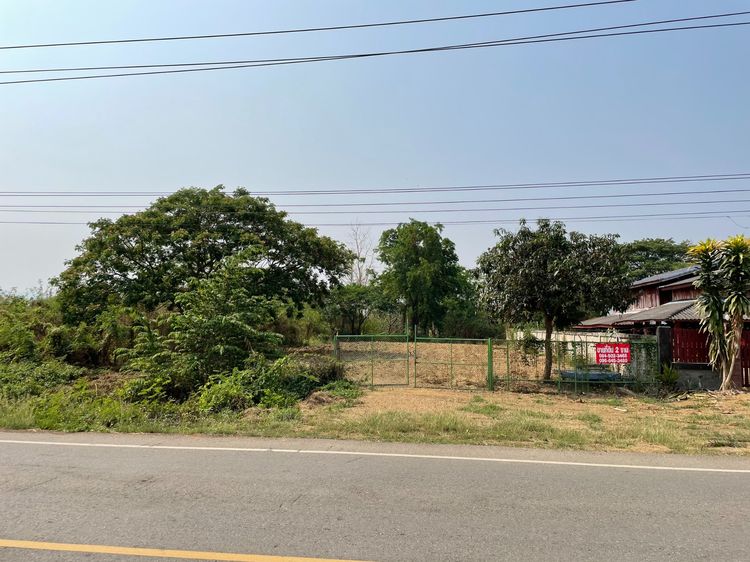 ที่ดิน233ตารางวา ดอกคำใต้