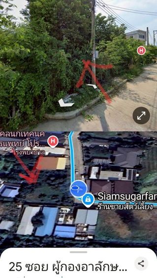 ขายที่ดินซอยผู้กองอาลักษณ์  ศาลาธรรมสพน์ ทวีวัฒนา รูปที่ 3