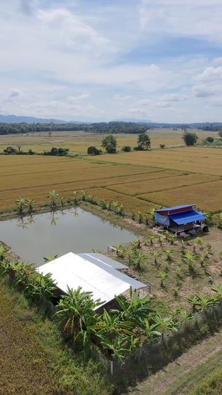 ใช่ ที่ดินพร้อมบ้านสวน รูปที่ 2