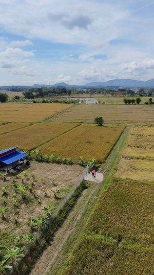 ใช่ ที่ดินพร้อมบ้านสวน รูปที่ 3