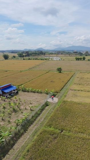 ที่ดินพร้อมบ้านสวน 