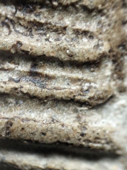 ❌ปิดครับ❌พระสมเด็จเนื้อสวยครับ รูปที่ 8