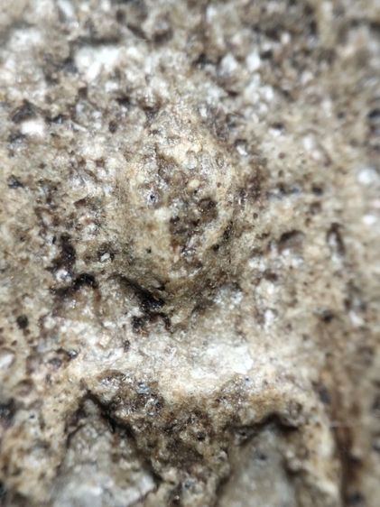 ❌ปิดครับ❌พระสมเด็จเนื้อสวยครับ รูปที่ 5