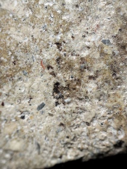 ❌ปิดครับ❌พระสมเด็จเนื้อสวยครับ รูปที่ 14