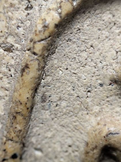 พระสมเด็จสวยๆครับ รูปที่ 8