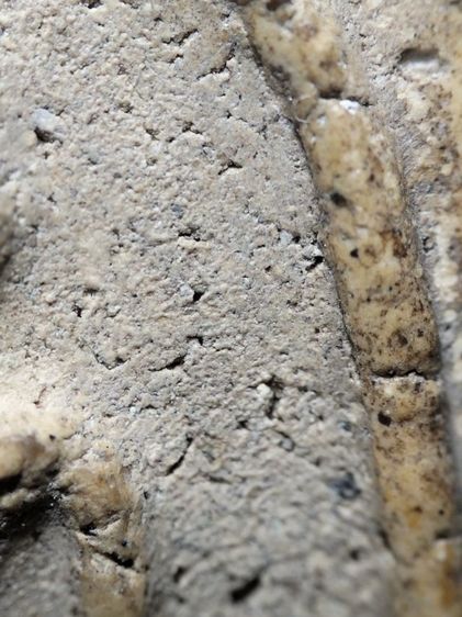 พระสมเด็จสวยๆครับ รูปที่ 10