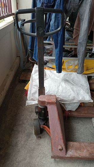 ตะเข้ยกพาเลท