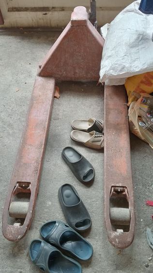 ตะเข้ยกพาเลท รูปที่ 2