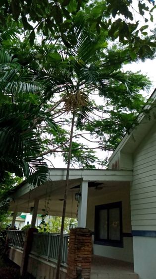 อื่นๆ ตกแต่งครบ บ้านพักตากอากาศ รูปที่ 2