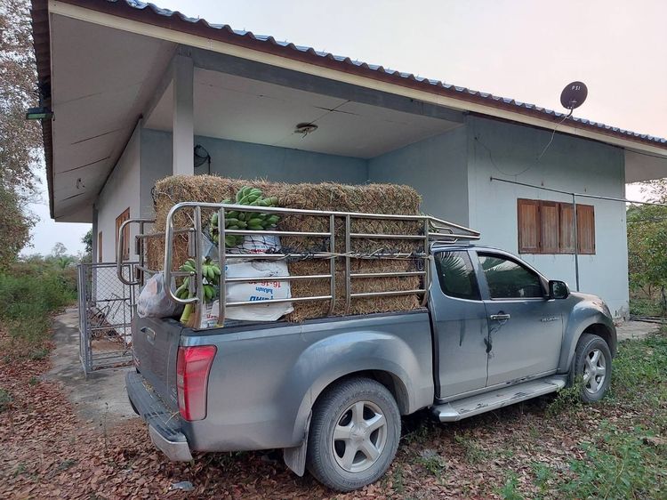 ขายสวนมะพร้าวกะทิ 6ไร่ พร้อมบ้าน 3ห่องนอน1ห้องรับแขก รูปที่ 2