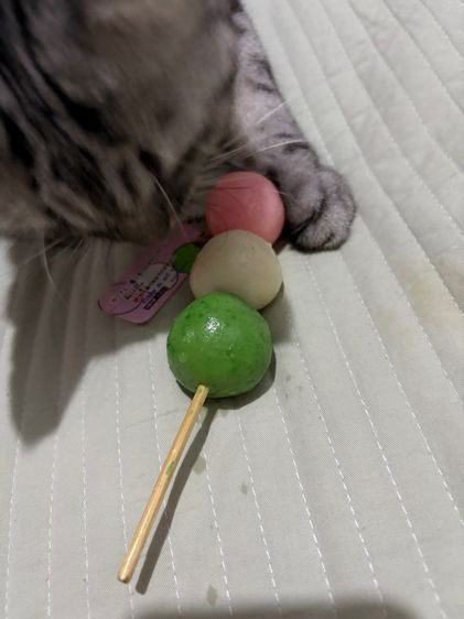 พวงกุญแจขนมดังโงะ