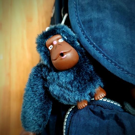 กระเป๋าเป้สะพายหลัง Kipling City Pack Medium Backpack  รูปที่ 3