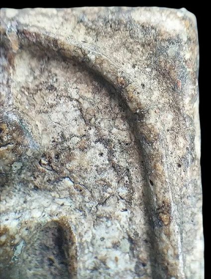 พิมพ์อกวี. รูปที่ 10