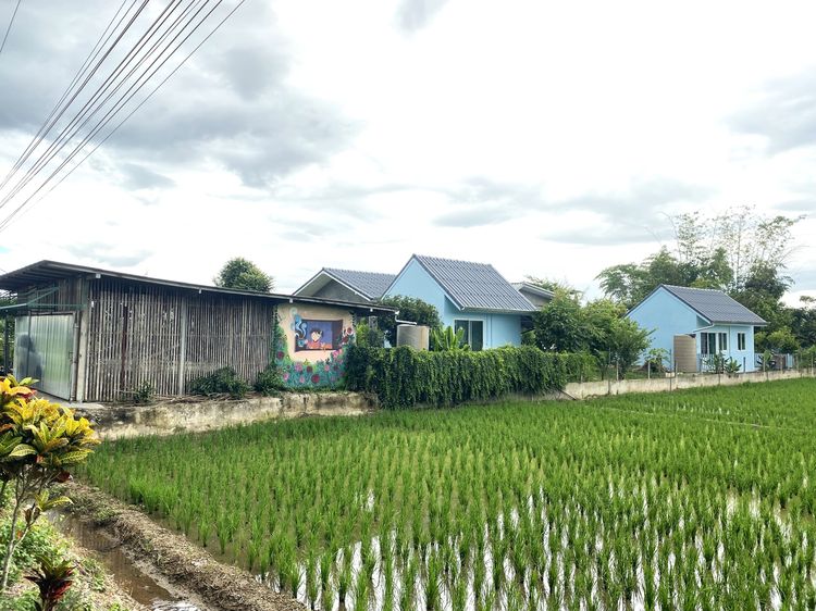 ตกแต่งครบ บ้านพร้อมที่ดิน วิวดอยหลวงเชียงดาว อำเภอเเม่เเตง จังหวัดเชียงใหม่