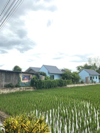 ตกแต่งครบ บ้านพร้อมที่ดิน วิวดอยหลวงเชียงดาว อำเภอเเม่เเตง จังหวัดเชียงใหม่ รูปที่ 2