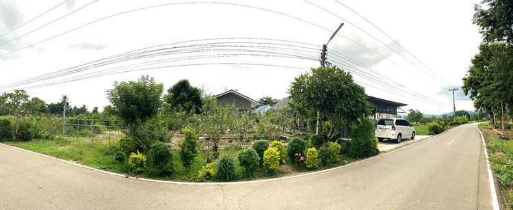 ตกแต่งครบ บ้านพร้อมที่ดิน วิวดอยหลวงเชียงดาว อำเภอเเม่เเตง จังหวัดเชียงใหม่ รูปที่ 4