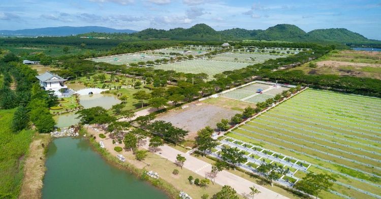 แปลงฝัง ตั้งอยู่ เนอร์วาน่าเมมโมเรียลปาร์ค ฮวงซุ้ยมงคล ฟรีค่าดูแล มีผ่อนชำระ รูปที่ 18