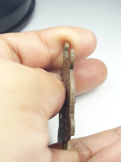 เหรียญพญาเต่าเรือนหลวงปู่หลิววัดไร่แตงทอง รูปที่ 4