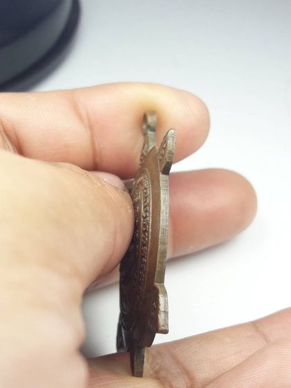 เหรียญพญาเต่าเรือนหลวงปู่หลิววัดไร่แตงทอง รูปที่ 3