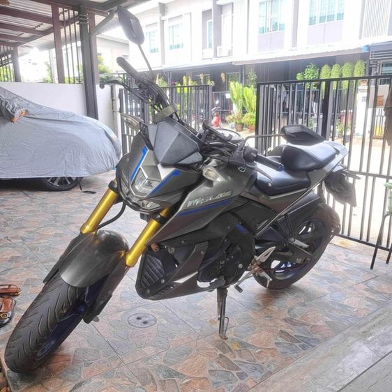 M-slas รูปที่ 2