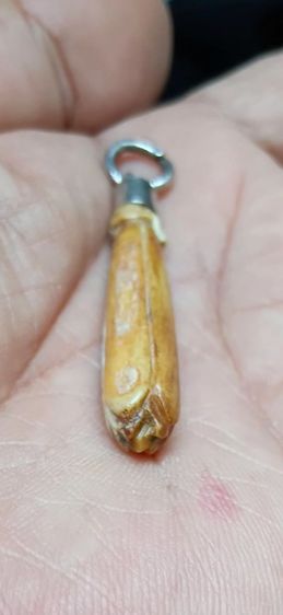 ดอกจำปี หลวงพ่อสด วัดปากน้ำ รูปที่ 12