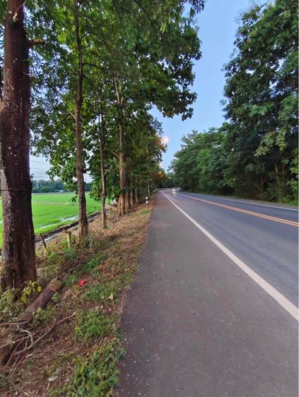 ที่ดิน5ไร่1งาน75ตารางวา รูปที่ 3