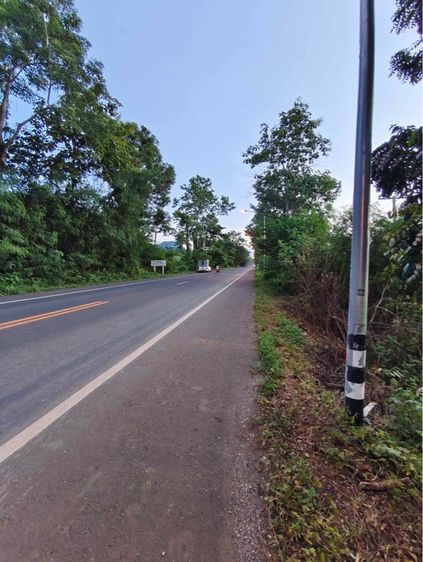 ที่ดิน5ไร่1งาน75ตารางวา รูปที่ 4