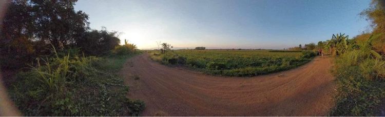 ที่ไร่สวยๆเหมาทำบ้านพักเงียบๆ รูปที่ 2