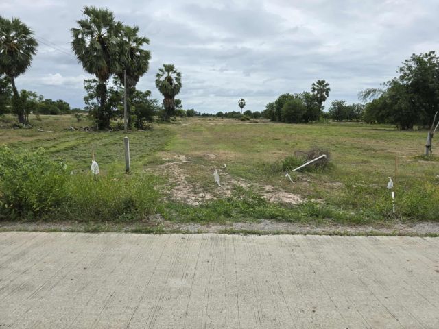 ใช่ ที่ดินเปล่า อ.เลาขวัญ จ.กาญจนบุรี รูปที่ 3