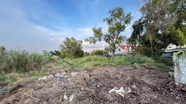 ขายที่ดินทำเลทอง ซอยชัยพรวิถี 15 หนองปรือ บางละมุง ชลบุรี รูปที่ 3