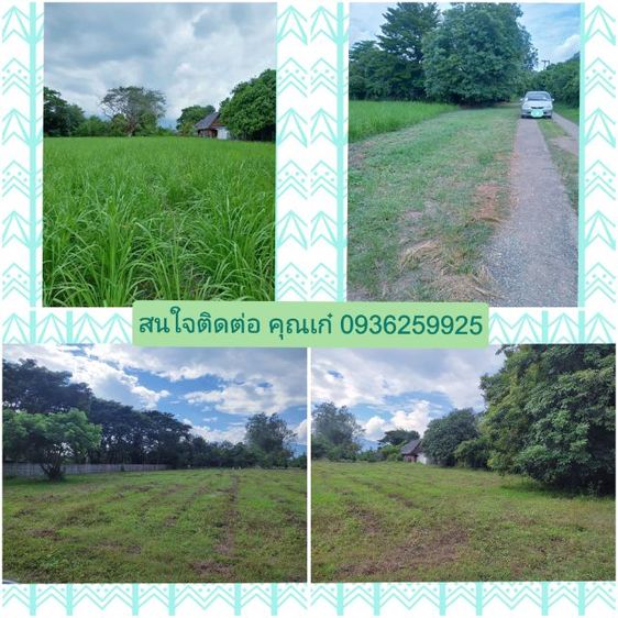 ขายที่ดินถมแล้วทำเลดี อ.สันทราย จ.เชียงใหม่ พร้อมโฉนดครุฑแดง (2 ไร่ 9 ตรว.) ใกล้ ตลาดแม่โจ้, รพ.สันทราย, มหาลัยแม่โจ้ (เจ้าของขายเอง)