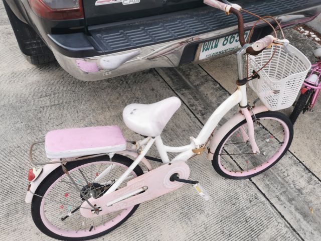 จักรยาน​เด็ก​โต รูปที่ 2