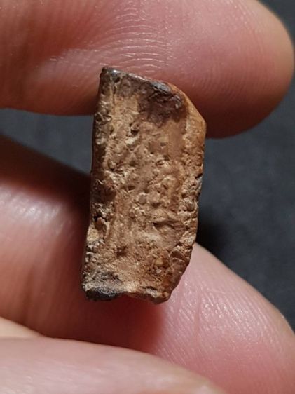 พระนางพญา รูปที่ 5