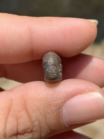 พระลีลา กรุลานดอกไม้ จ.สุโขทัย รูปที่ 5