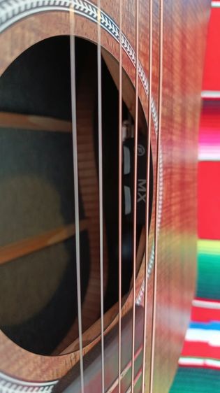 𝐌𝐚𝐫𝐭𝐢𝐧 𝐃-𝐗𝟏𝐄 𝐊𝐨𝐚 รูปที่ 12