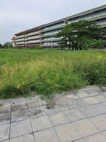 ให้เช่าที่ดิน1ไร่