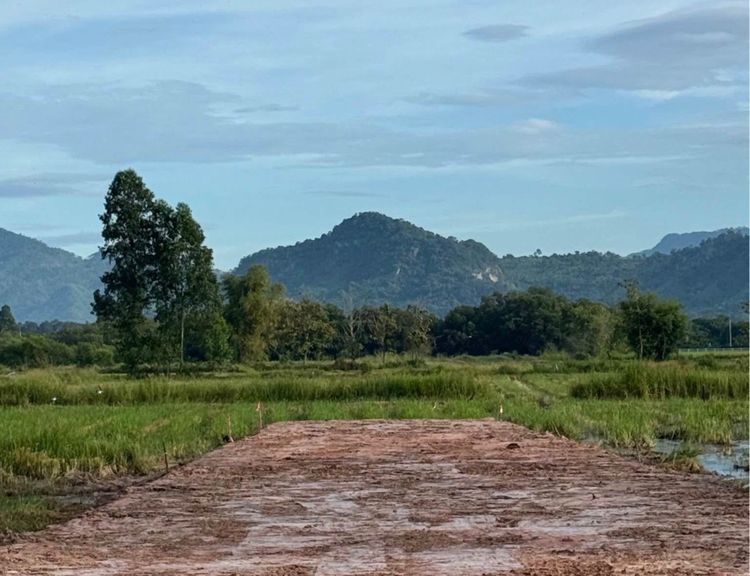 บ้านสวนทิวเขา – เขาพระ นครนายก โฉนดครุฑแดง รูปที่ 3