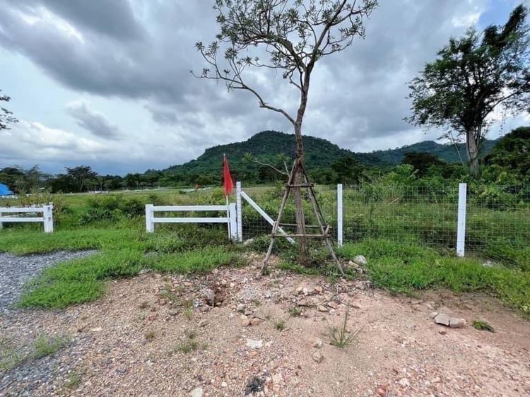 ที่ดินบ้านสวนวิวเขา – โนนหนองนาฝาละมีฮิลล์ นครนายก ที่ดินถมแล้ว พร้อมสระน้ำ มีรั้วรอบแปลง ไฟฟ้า–น้ำ พร้อมใช้งาน วิวเขาชัดเจน รูปที่ 3