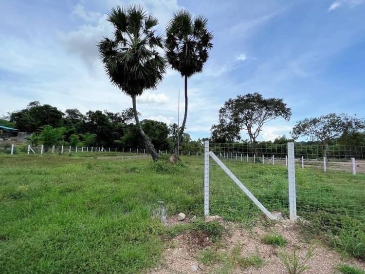 ที่ดินบ้านสวนวิวเขา – โนนหนองนาฝาละมีฮิลล์ นครนายก ที่ดินถมแล้ว พร้อมสระน้ำ มีรั้วรอบแปลง ไฟฟ้า–น้ำ พร้อมใช้งาน วิวเขาชัดเจน รูปที่ 4