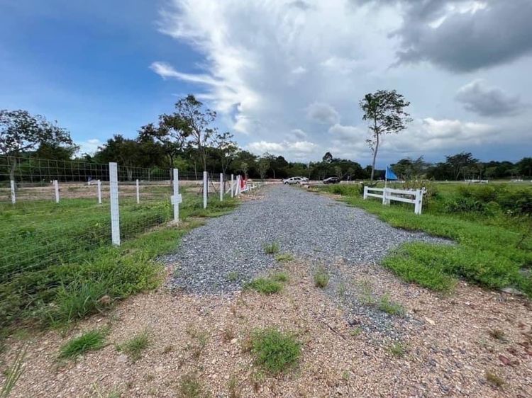 ที่ดินบ้านสวนวิวเขา – โนนหนองนาฝาละมีฮิลล์ นครนายก ที่ดินถมแล้ว พร้อมสระน้ำ มีรั้วรอบแปลง ไฟฟ้า–น้ำ พร้อมใช้งาน วิวเขาชัดเจน รูปที่ 2