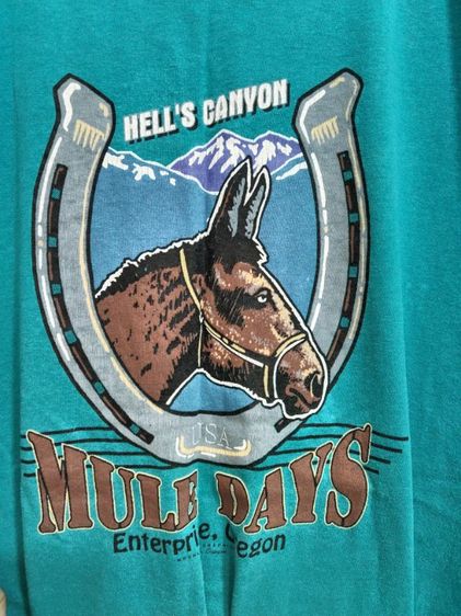 เสื้อยืดงานป้าย Hanes Heavy Weight   รูปที่ 5