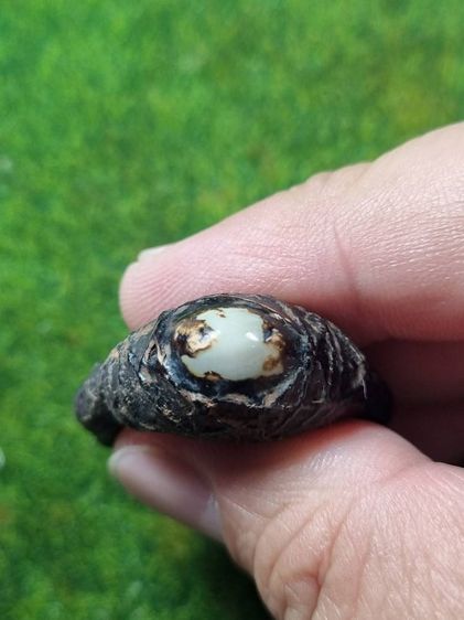 แหวนพิรอดเก่าๆ รูปที่ 3