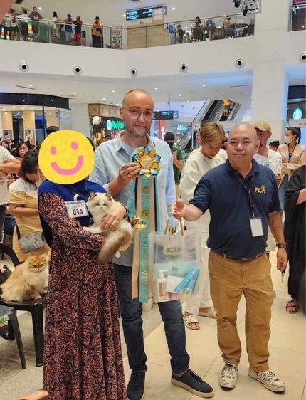 แมวcat รูปที่ 9