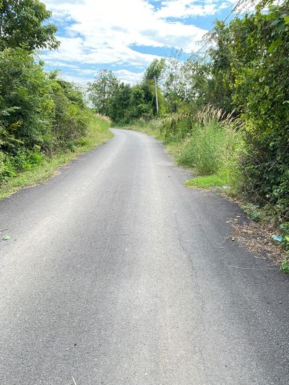 ที่ดินลพบุรีพร้อมปลูกสร้าง รูปที่ 4